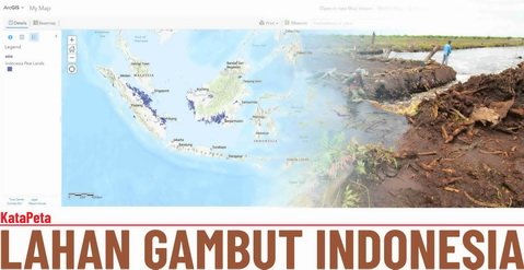 Lahan Gambut Di Indonesia, Di Mana Yang Terluas ?